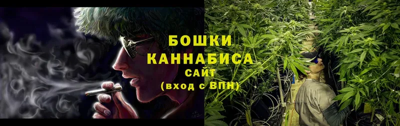 блэк спрут маркетплейс  Ивангород  Бошки марихуана SATIVA & INDICA  купить наркотик 